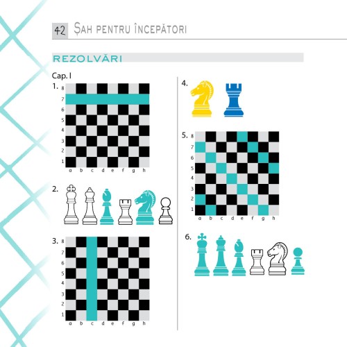 SAH pentru începători