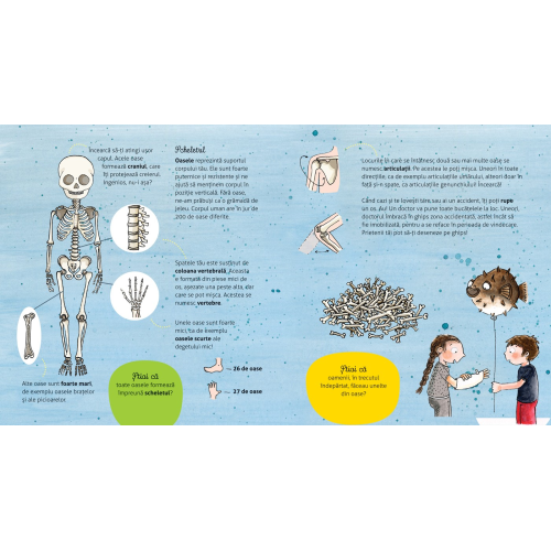 Vreau sa stiu: Cum functioneaza corpul meu