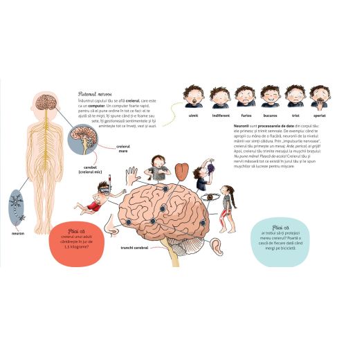 Vreau sa stiu: Cum functioneaza corpul meu